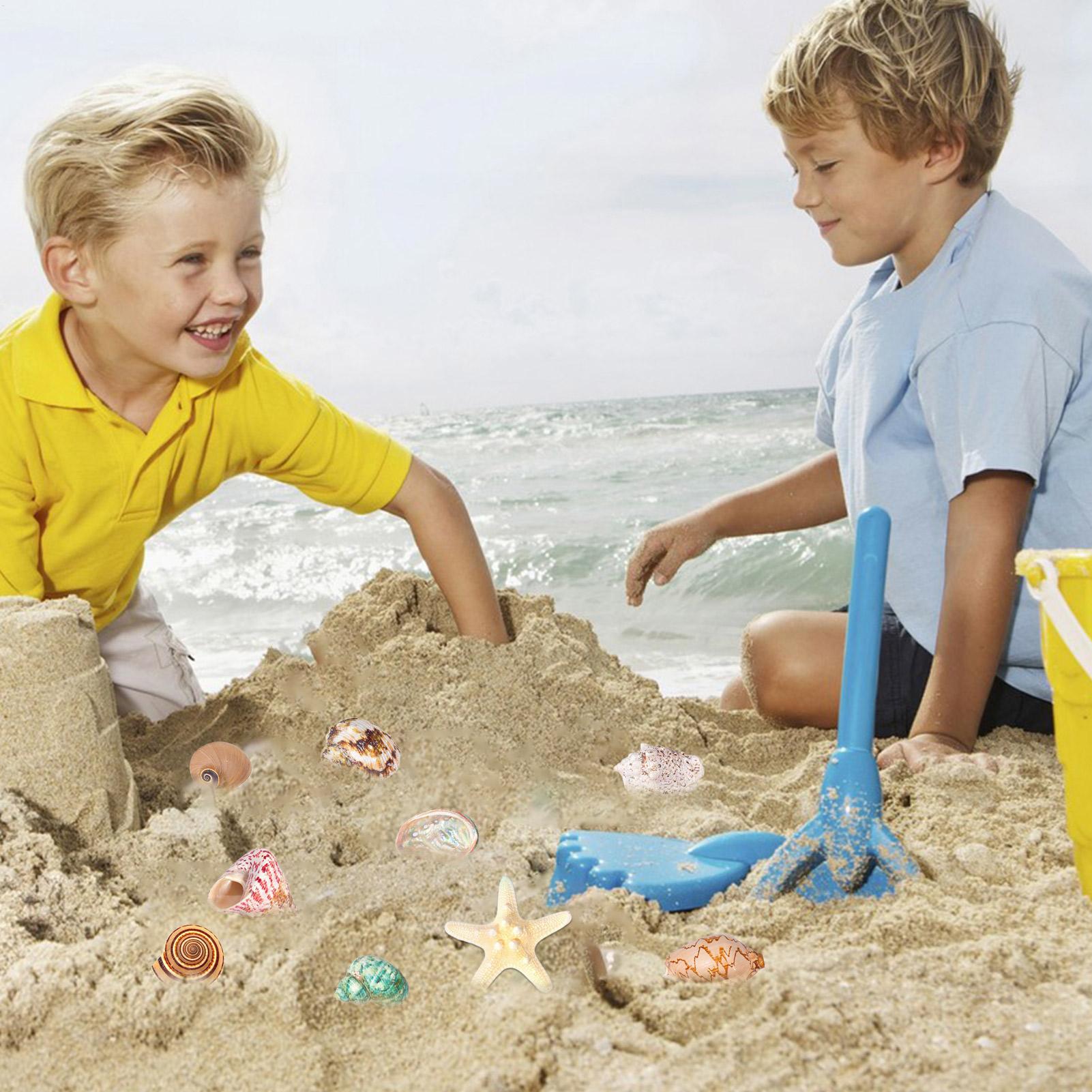 2025 Seashells Advent Calendar - огляд і ціна Kids Toys Christmas 2025