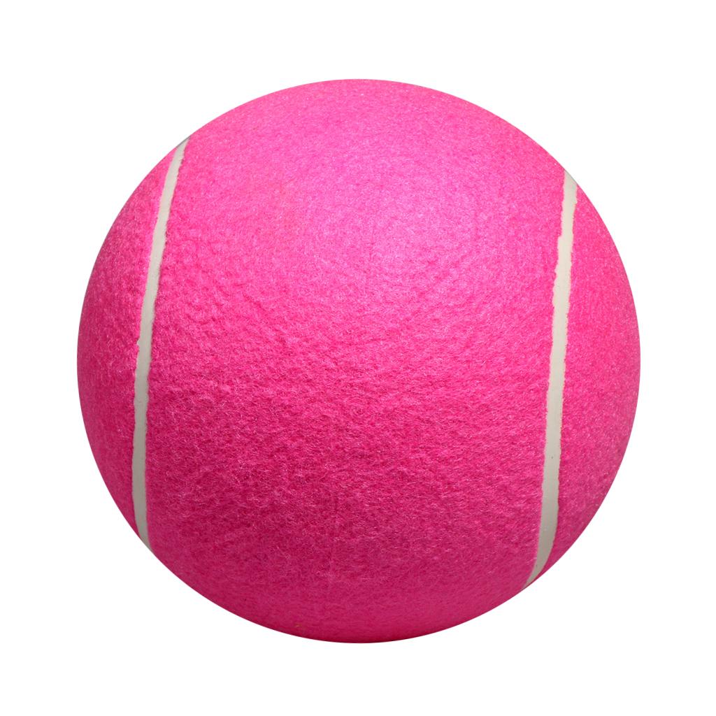 Dog Tennis Ball Toy Inflatable - огляд і ціна Kids Toys Exhibition