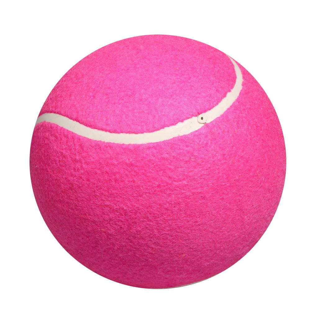 Dog Tennis Ball Toy Inflatable - огляд і ціна Kids Toys Exhibition